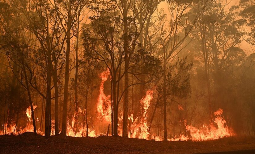 New study says Australian wildfires damaged the ozone layer