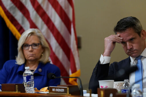Last pro-impeachment Republican faces almost certain defeat. How did the others fare in GOP primaries?