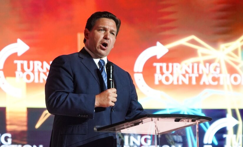 DeSantis to hit campaign trail to rally support for Trump-endorsed candidates: ‘Unite and win’