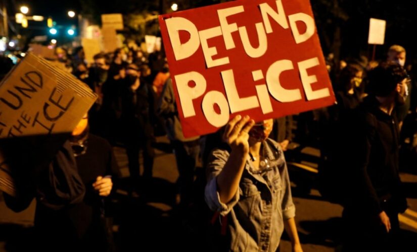 New executive director of liberal dark money education group has repeatedly called to defund the police