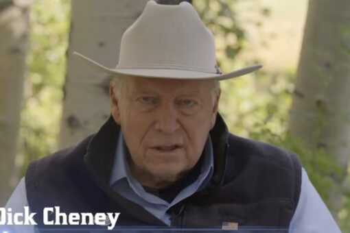 Trump blasted by Dick Cheney as former vice president stars in his daughter’s latest ad