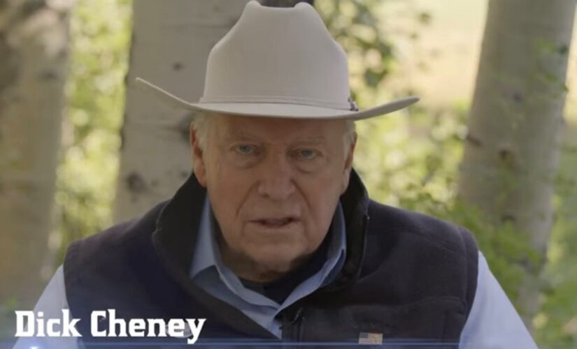 Trump blasted by Dick Cheney as former vice president stars in his daughter’s latest ad