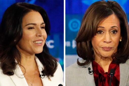 Tulsi Gabbard blasts Kamala Harris’ ‘hypocrisy’ for Brittney Griner response after marijuana lockups as AG