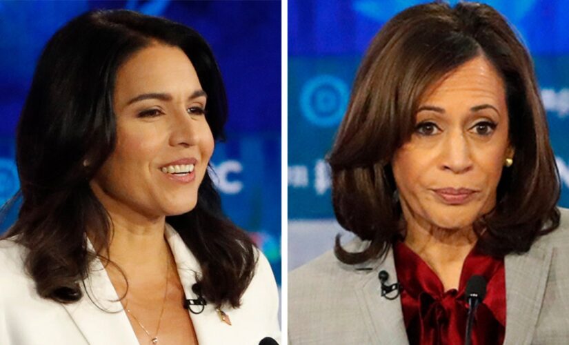 Tulsi Gabbard blasts Kamala Harris’ ‘hypocrisy’ for Brittney Griner response after marijuana lockups as AG