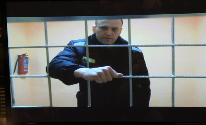 Alexei Navalny shares message from solitary confinement: ‘Harshest punishment in the legal prison hierarchy’