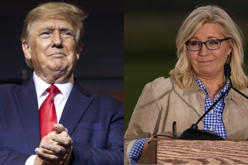 Trump blasts Liz Cheney after primary loss to Harriet Hageman: ‘She can finally disappear’