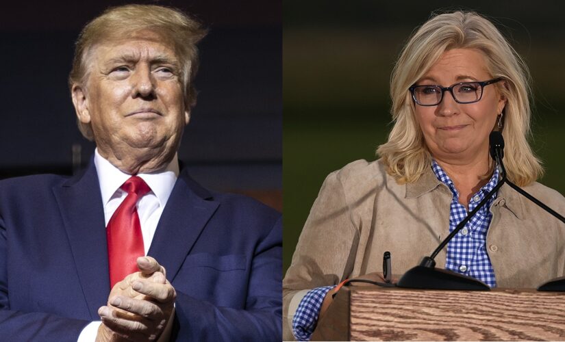 Trump blasts Liz Cheney after primary loss to Harriet Hageman: ‘She can finally disappear’