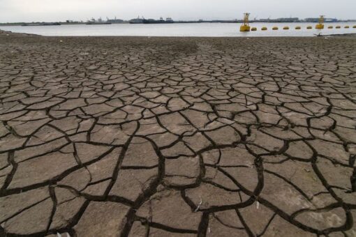 China drought, scorching temperatures causing blackouts and factory closures