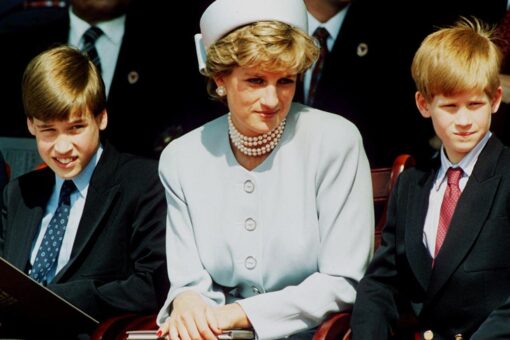 Princess Diana tried to shield Prince Harry from ‘spare’ label, James Patterson says: ‘She was troubled by it’