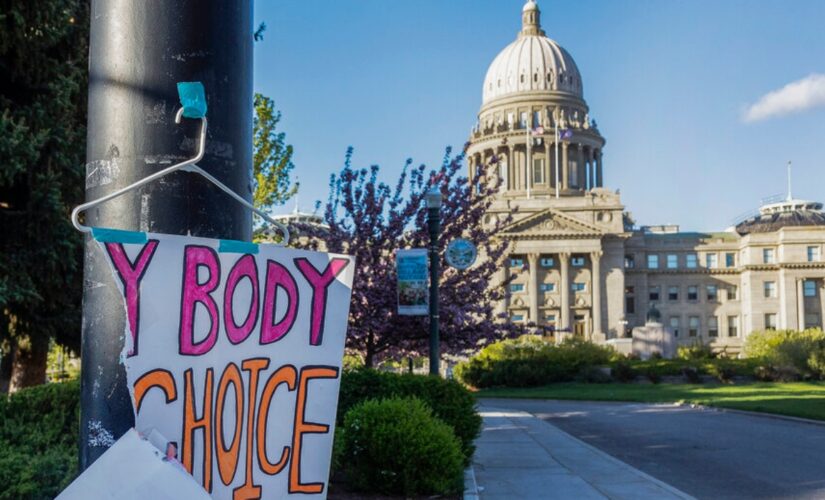Idaho Supreme Court: Abortion bans will be allowed to take effect amid challenges