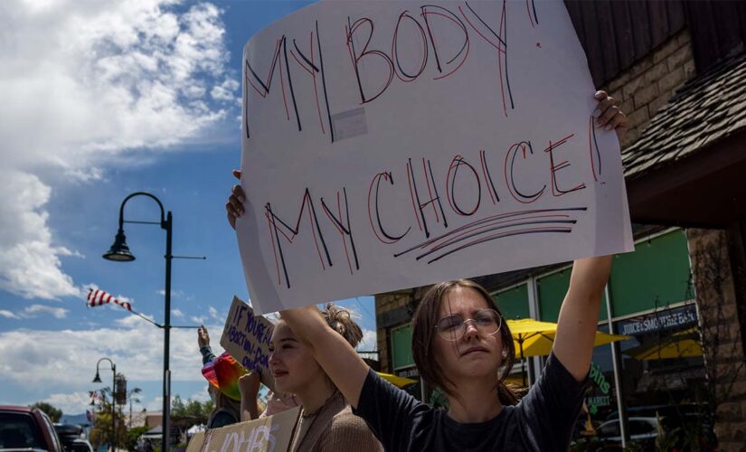 Idaho can’t enforce abortion ban in medical emergencies, prosecute doctors, federal judge rules