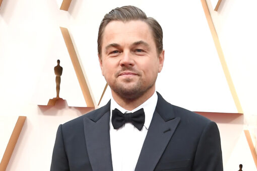 Leonardo DiCaprio traveled on gas-guzzling private jets, yachts while funding climate nuisance lawsuits