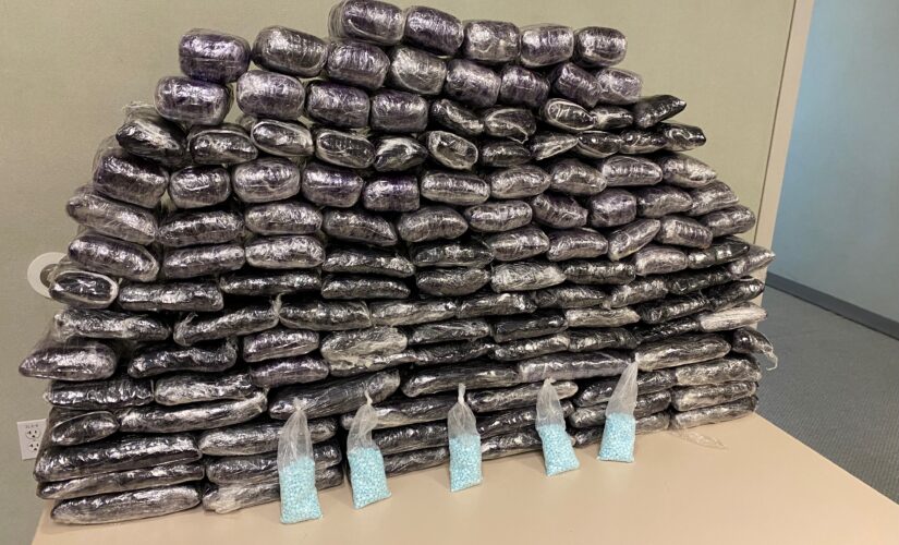 Fentanyl seizures at southern border jumped over 200% in July