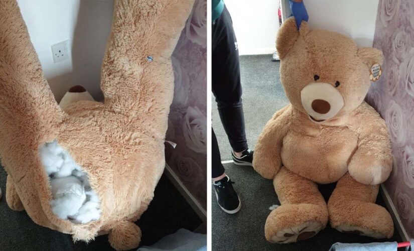 UK teen car thief caught hiding in giant stuffed teddy bear: Police