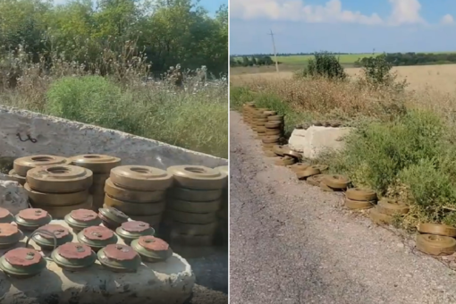 Ukraine video by former US Green Beret shows hundreds of mines removed from field
