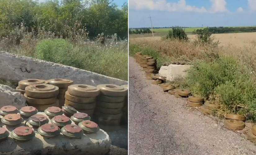 Ukraine video by former US Green Beret shows hundreds of mines removed from field