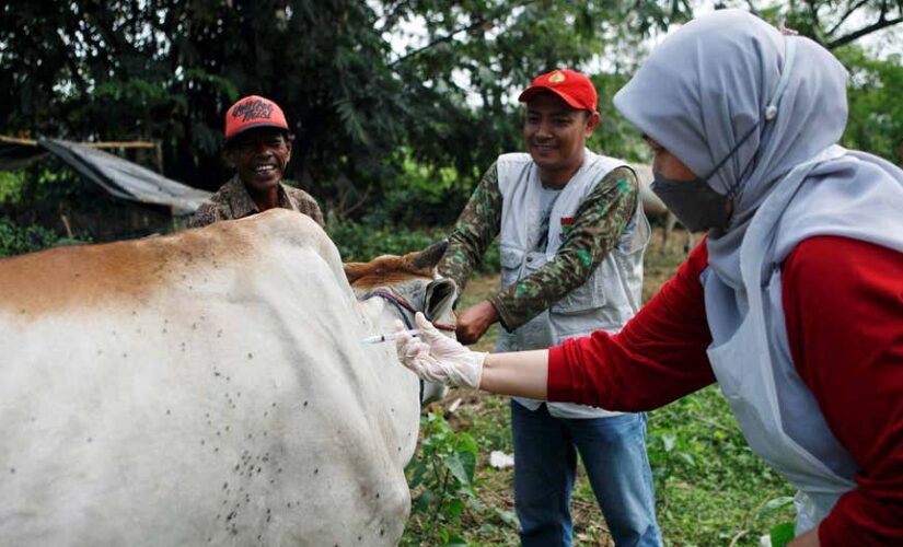 Bali added to Indonesia’s priority list for hand, foot and mouth disease as cases surge