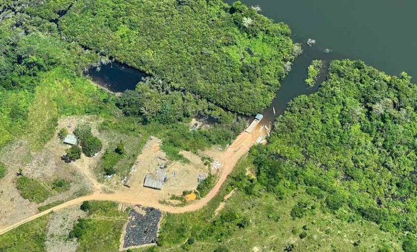 Illegal road in Brazilian Amazon brings threat of further deforestation