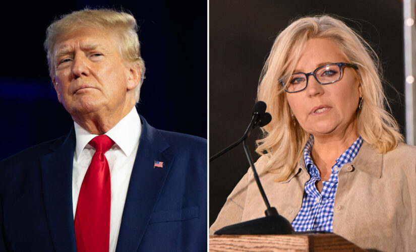 Strategists suggest it’s ‘highly doubtful’ Liz Cheney could win the White House in 2024