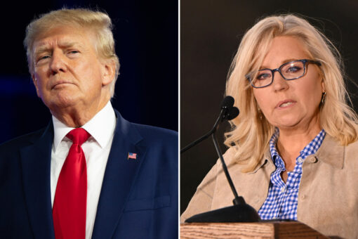 With Cheney out, Trump has purged most pro-impeachment House Republicans from GOP