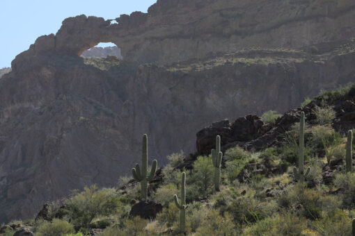 Border Patrol rescue 4-month-old, 18-month-old abandoned by smugglers in desert: ‘This is cruelty’