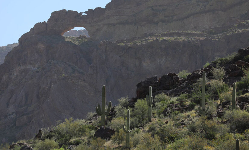 Border Patrol rescue 4-month-old, 18-month-old abandoned by smugglers in desert: ‘This is cruelty’