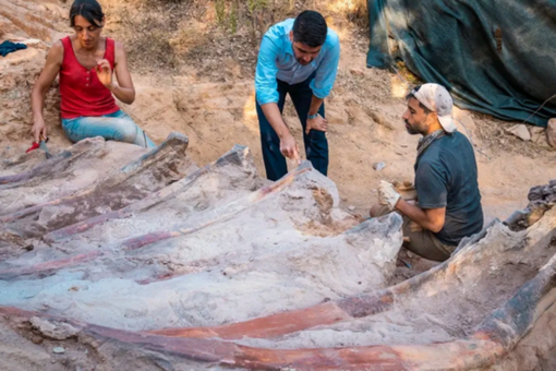 Portuguese man discovers 82-foot long dinosaur skeleton in his backyard