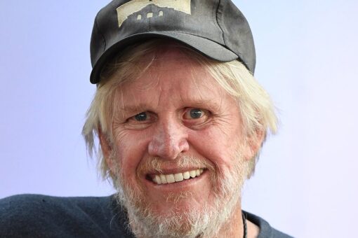 Gary Busey faces sex charges in New Jersey