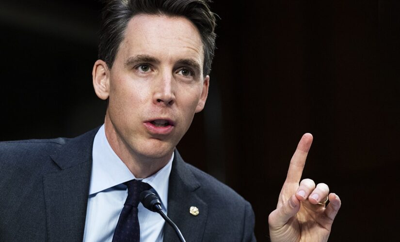 Hawley: GOP ‘better be willing to fight’ if they gain control of Congress