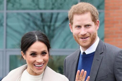 Prince Harry, Meghan Markle rescue abused beagle mama: ‘She knew it was her people’