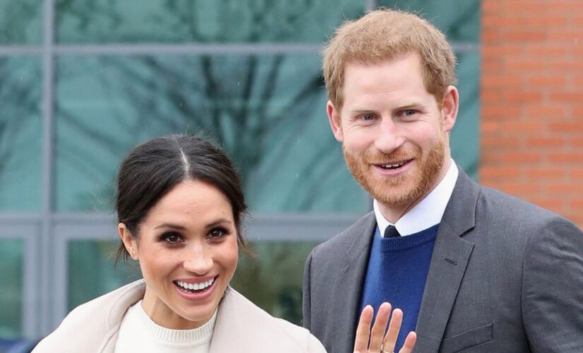 Prince Harry, Meghan Markle rescue abused beagle mama: ‘She knew it was her people’