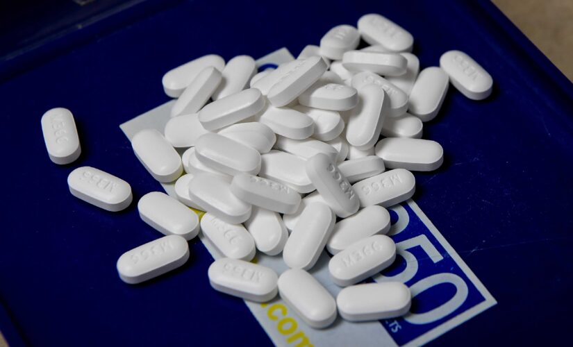 White House announces funding for youth substance abuse programs to tackle ‘overdose epidemic’