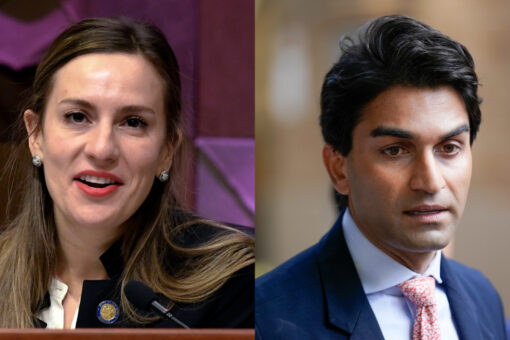 New faces look to make waves challenging House leaders in NY Dem primaries