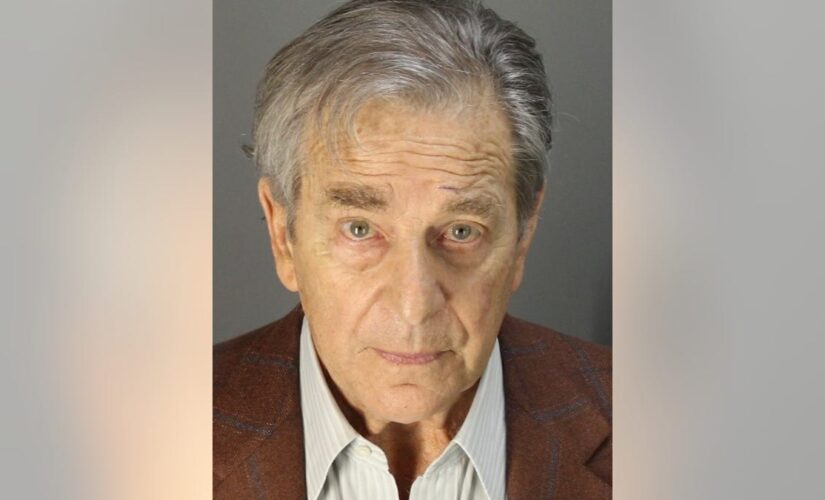 Paul Pelosi allegedly slurred speech, had drug in system and handed over police privilege card during DUI bust