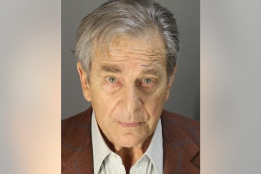 Paul Pelosi pleads not guilty to DUI charges months after crashing Porsche in California