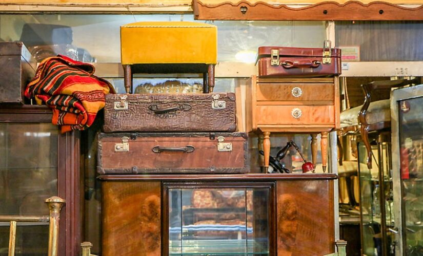 Human remains found in suitcase bought at auction in New Zealand