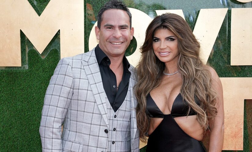 ‘RHONJ’ Teresa Giudice, Luis Ruelas are married: report