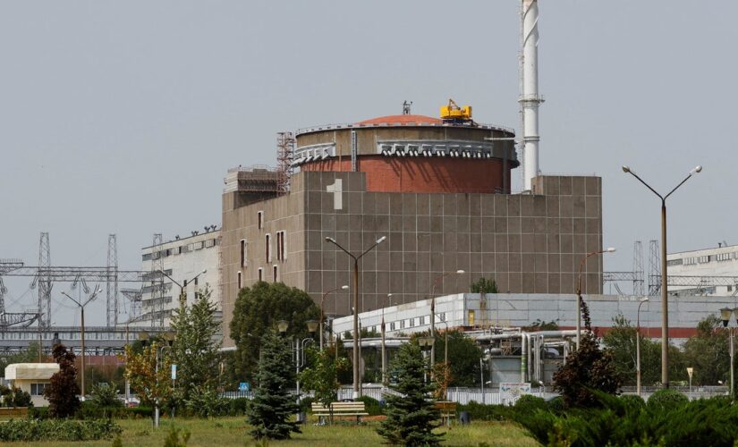 Ukrainian nuclear power plant stops operations as safety measure