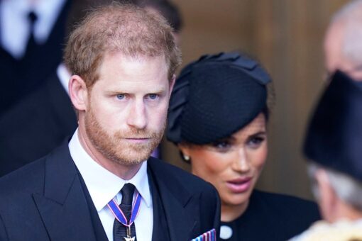 Pressure builds on Prince Harry as the people of Sussex petition to remove his and Meghan’s titles