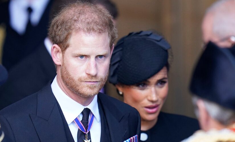 Pressure builds on Prince Harry as the people of Sussex petition to remove his and Meghan’s titles