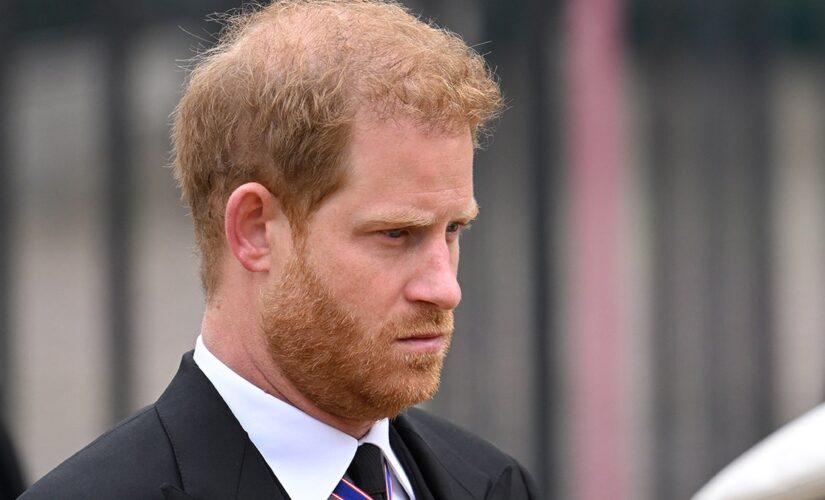 Prince Harry was ‘very well protected’ during Queen Elizabeth’s funeral amid security concerns: royal expert