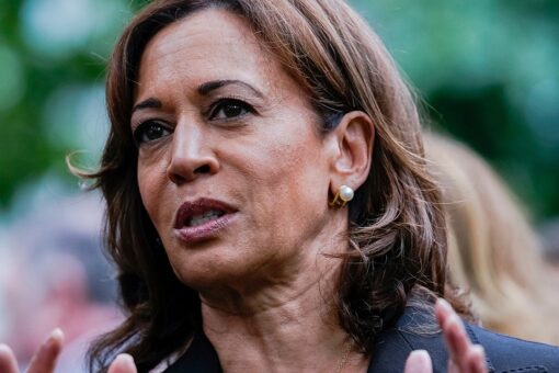 VP Harris blames GOP ‘election deniers’ for making US democracy ‘weaker’ through ‘threats from within’
