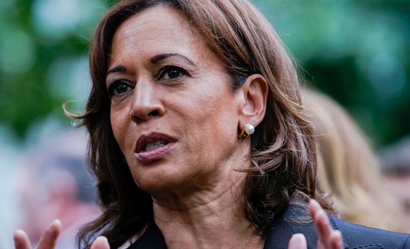 VP Harris blames GOP ‘election deniers’ for making US democracy ‘weaker’ through ‘threats from within’