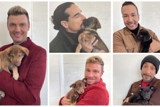 Tennessee shelter puppies share namesake with Backstreet Boys after special visit