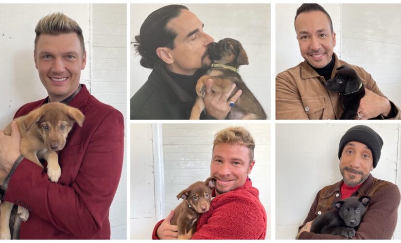 Tennessee shelter puppies share namesake with Backstreet Boys after special visit