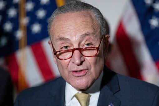 Chuck Schumer offers up $15 million to bolster Democratic Senate campaigns