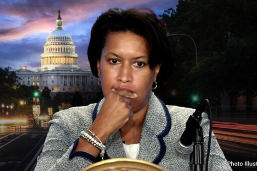 Border sheriffs slam DC mayor, officials for declaring emergency over migrant buses: ‘They have seen nothing’