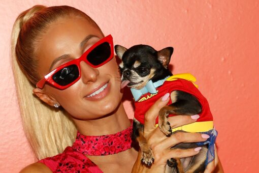Paris Hilton is ‘depressed’ and offering ‘a big reward’ for missing dog Diamond Baby: ‘NO questions asked’