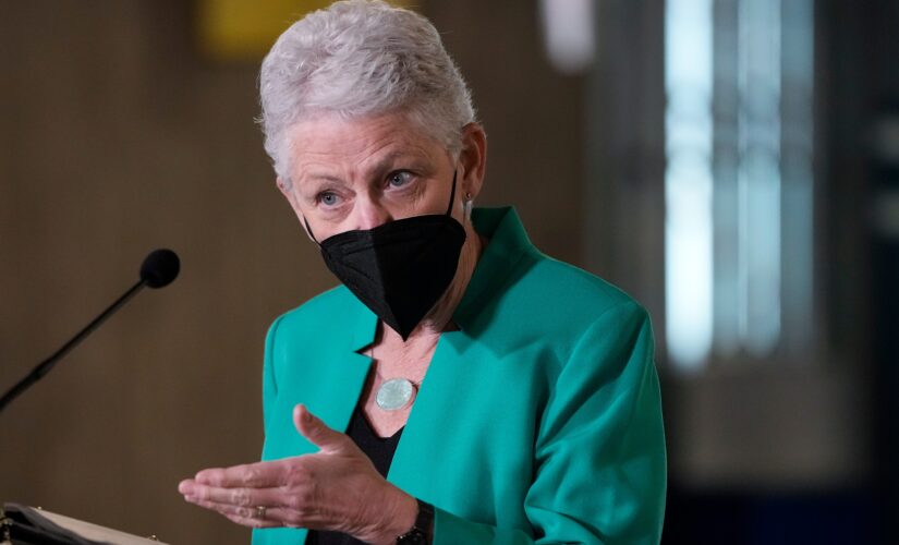 White House national climate adviser Gina McCarthy resigns