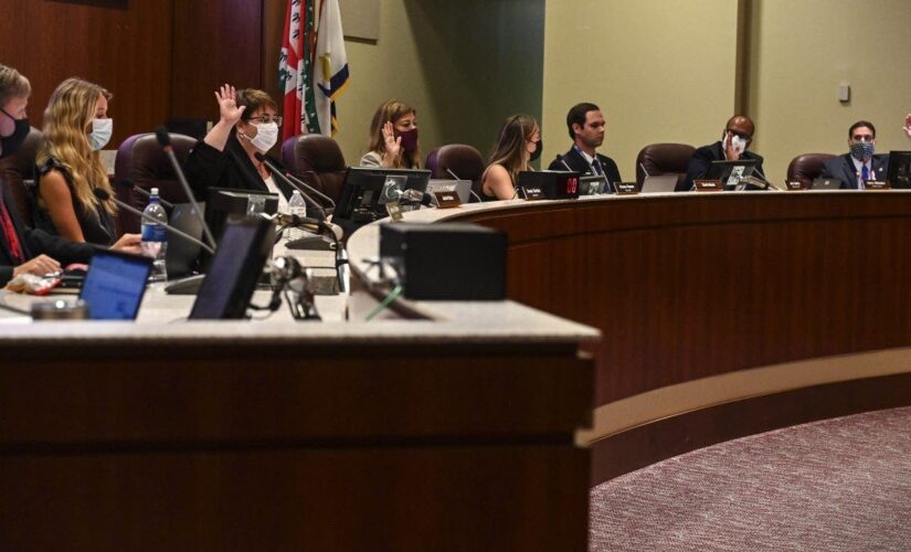 Virginia parents protest critical race theory outside Loudoun County School Board meeting